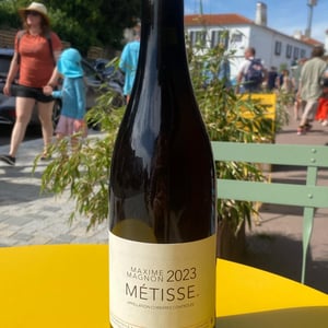 Métisse - Maxime Magnon - maxime-magnon