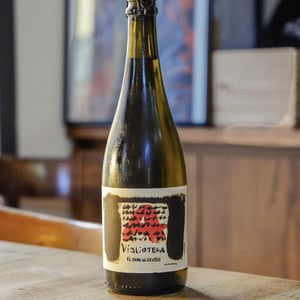 Misteriós Viblioteca - El Jardí dels Sentits - blanca-ozcariz-raventos