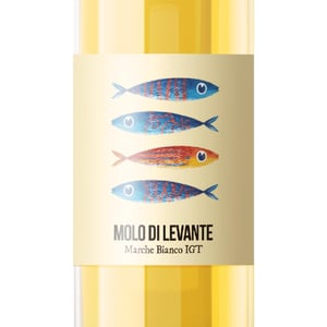 Molo di Levante - Agricola Arzilla - shayle-lambie-shaw