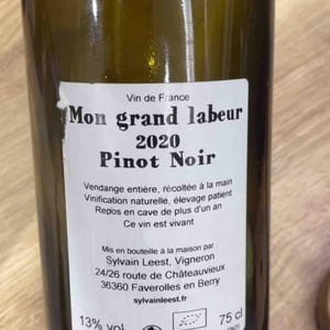 Mon grand labeur - Sylvain Leest - sylvain-leest -2020