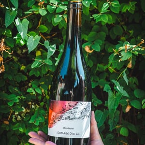 Mondeuse de Montagnieu Amphores - Domaine D'ici là - adrien-bariol -2019