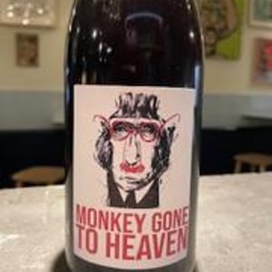 Monkey Gone To Heaven - Julien Pineau - julien-pineau