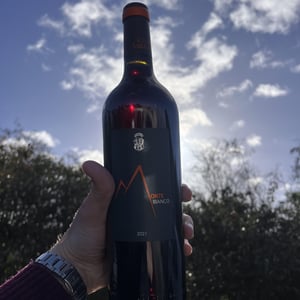 Monte Bianco - Comte Abbatucci - jean-charles-abbatucci -2014