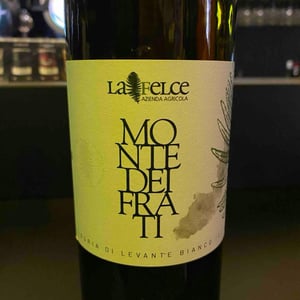 Monte Dei Frati - Le Felce - andrea-marcesini