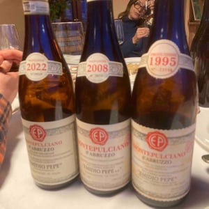 Montepulciano d'Abruzzo - Az. Agr. Emidio Pepe - daniela-sofia-pepe