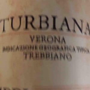 Monteseroni - Visco & Filippi Azienda Agricola - filippo-filippi