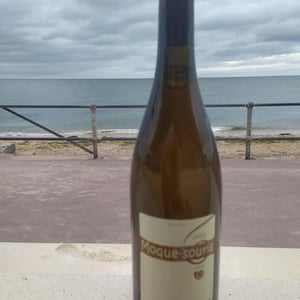 Moque-Souris - Domaine de Mirebeau - bruno-rochard