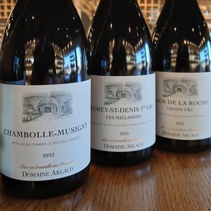 Morey-Saint-Denis 1er Cru Les Millandes - Domaine Arlaud - cyprien-arlaud -2023