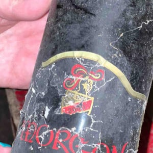 Morgon - Domaine Marcel Lapierre - mathieu-camille-lapierre