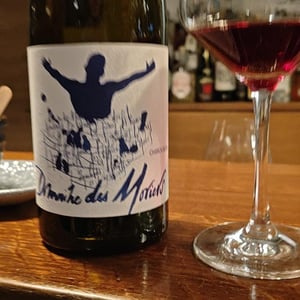 Morgon Les Charmes - Des Moriers - domaine-des-moriers -2020