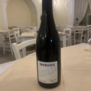 Morgon - Domaine des Terres Dorées - jean-paul-brun -2019