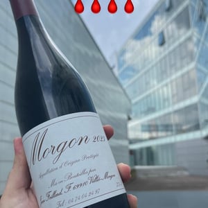 Morgon - Jean Foillard - jean-foillard