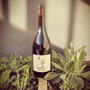 Murmures - BISCORNUS - nicolas-perrin -2022