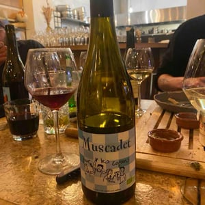 Muscadet Pour Les Copains - Domaine de l'Épinay - Earl Paquereau - cyrille-et-sylvain-paquereau -2020