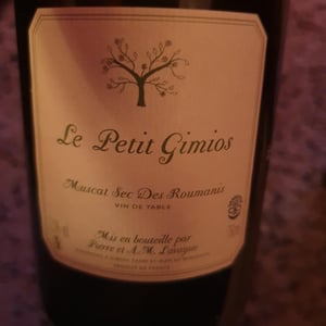 Muscat Sec Des Roumanis - Le Petit Domaine de Gimios - anne-marie-lavaysse