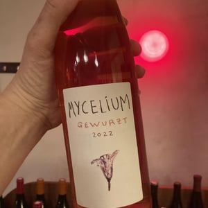 Mycelium Gewurzt - Mycelium Domaine Dalaheim Castellum - arthur-joskin -2021