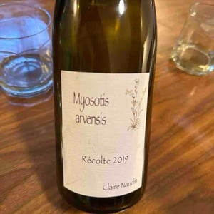 Myosotis Arvensis - Domaine Henri Naudin-Ferrand - claire-naudin