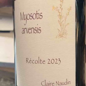 Myosotis Arvensis - Domaine Henri Naudin-Ferrand - claire-naudin