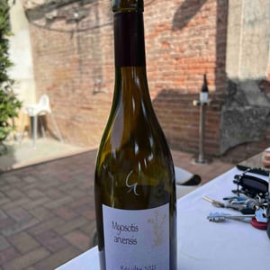 Myosotis Arvensis - Domaine Henri Naudin-Ferrand - claire-naudin