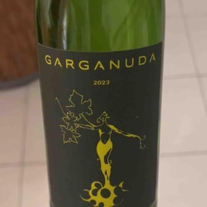 Naked - Garganuda - Andrea Fiorini Carbognin