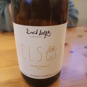 Nelson - David Large - celia-rostand-et-david-large