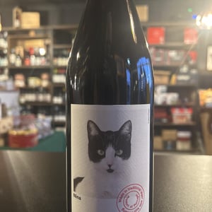 Nina - Casa de Mouraz - antonio-lopes-ribeiro-sara-dionisio