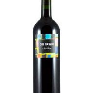 Nita - Ori Marani - bastien-warskotte-nino-gvantseladze