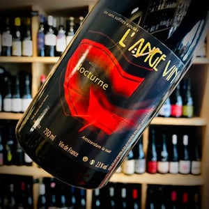 Nocturne - Les Vignes de l'Angevin - jean-pierre-robinot