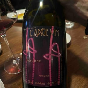 Nocturne - Les Vignes de l'Angevin - Jean-Pierre Robinot