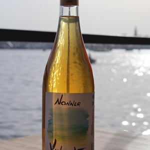 Nonner - Vincolato - daniele-manoni-marco-fucini-nicola-brenciaglia-4l