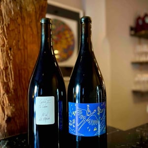 Nos recuerdo bailando al filo - Pequeños y Salvajes - vicky-y-nahuel -2021