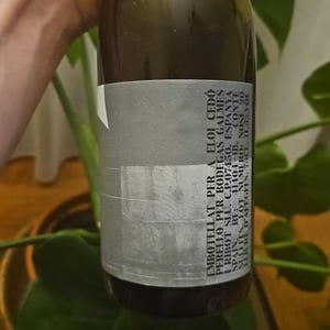 Nose - Sistema Vinari - eloi-cedo-perello -2025