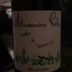 Note Di Bianco - Azienda Agricola Alessandro Viola - alessandro-viola