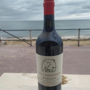 Nout - Clos Du Jaugeyron - michel-theron-stephanie-destruhaut