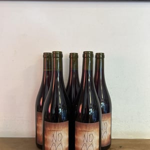 Now - L’Arbre Viké - jan-tailler -2024