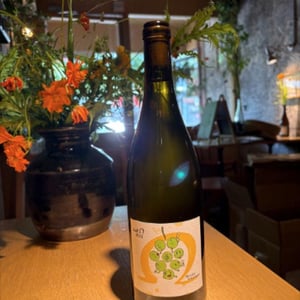 Null Ohm Weiß - Weingut Kissinger - moritz-kissinger -2021