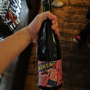 Nuria - Clos Lentiscus - manel-avino