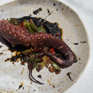 Octopus - CHANTIRA - 948003