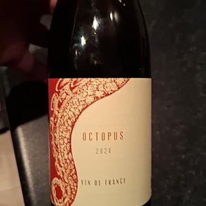 Octopus - L'Austral - pauline-mourrain-laurent-troubat