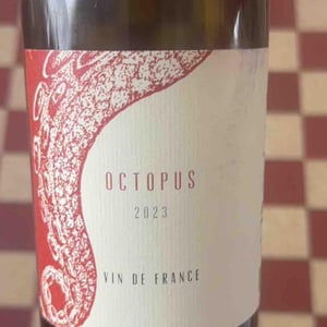 Octopus - L'Austral - pauline-mourrain-laurent-troubat
