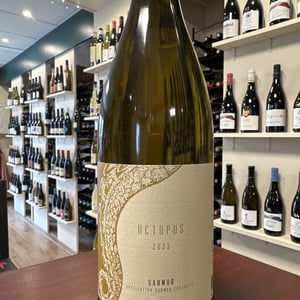 Octopus - L'Austral - pauline-mourrain-laurent-troubat -2020