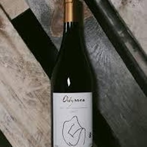 Odyssea - Azienda Agrigola Macchion dei Lupi - carlo-parenti