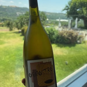 Ognostro (White) - Ognostro - marco-tinessa