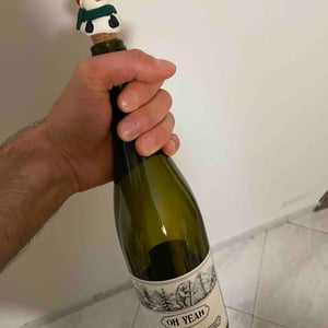 Oh Yeah - Domaine Hughes-Beguet - caroline-patrice-hughes-beguet