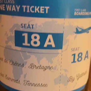 One Way Ticket - Le Haut Planty - alain-christian-couillaud