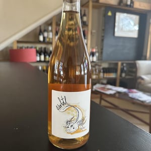 Orange Axolotl - Kambyum - vincent-christophe -2024