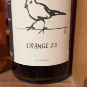 Orange - Didier Grappe - didier-et-jules-grappe -2023