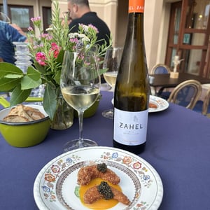 Orange T - Zahel Weingut & Heuriger [BIO_ORGANIC] - hilary-und-alex-zahel -2023