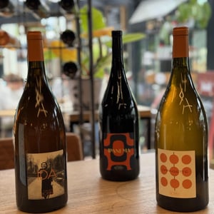 Orangette - Domaine Calvez-Bobinet - sebastien-bobinet-emeline-calvez -2024