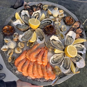 Oursin - Les embruns - 1298147